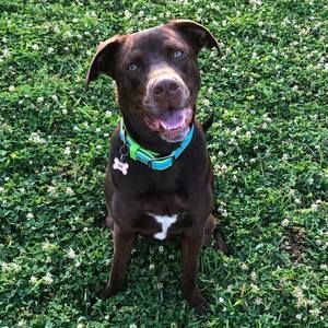 Meet your Posher, Kellie